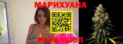 прущие крисы Будённовск
