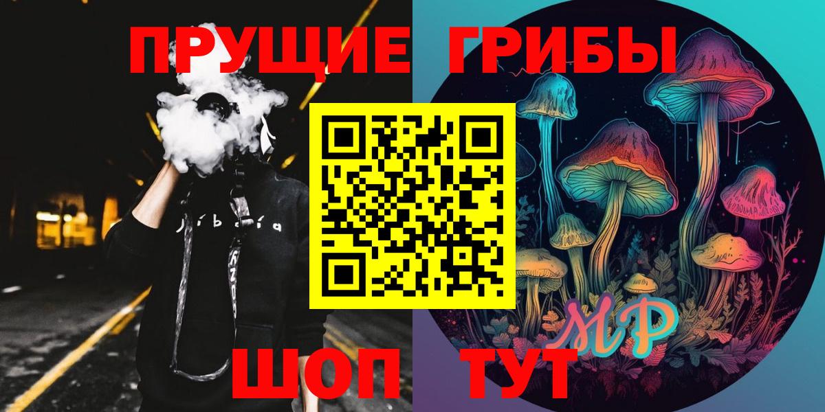 Северск  Псилоцибиновые грибы Psilocybine cubensis  Вход с VPN 