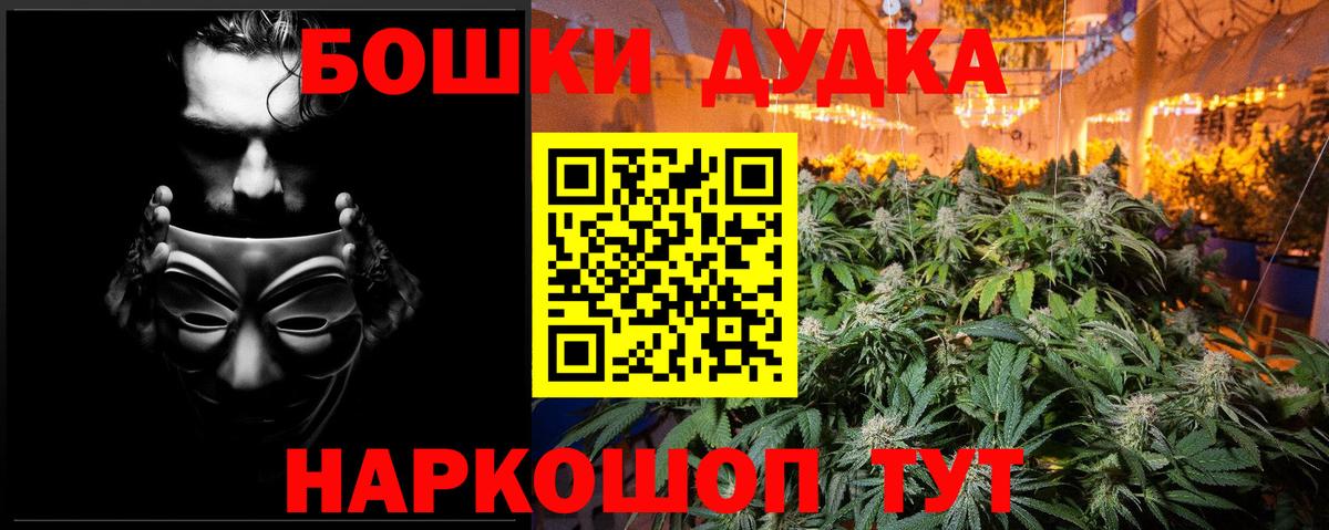Конопля планчик Северск